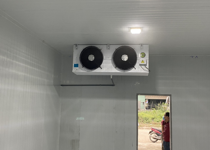 Lắp Đặt Kho Lạnh Tại Huế